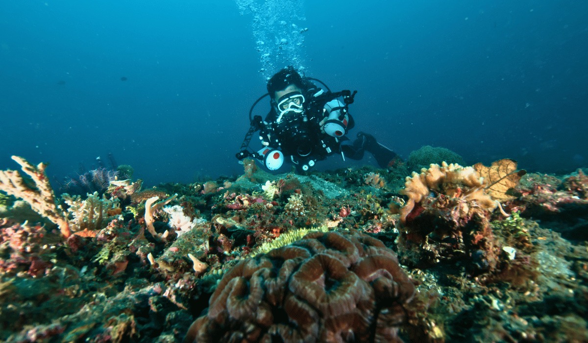 Macro photographer over volcanic sand on a Mabul muck dive